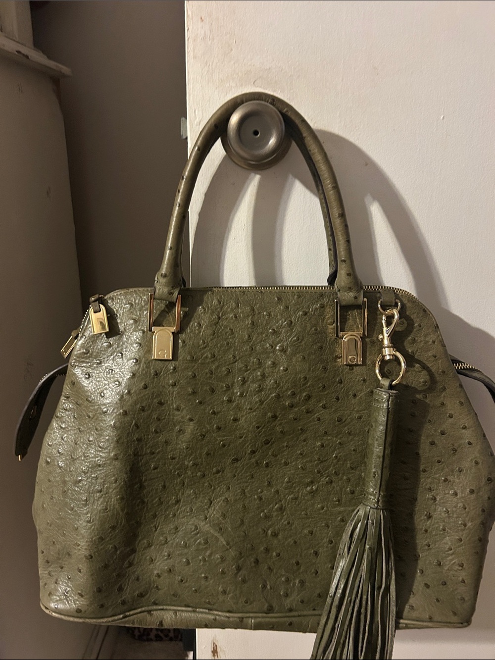 G.I.L.I. Olive Green Ostrich-Embossed Satchel with Tassel - Picture 10 of 16